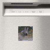 Aimant Photo Zebra Double Take (In Situ (Lave-vaisselle))