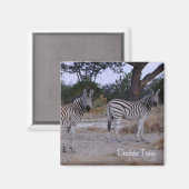 Aimant Photo Zebra Double Take (Recto/Verso)