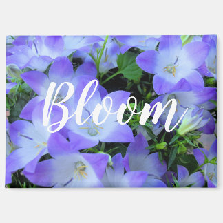 Aimant Photographie de Campanules Violettes