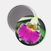 Aimant Photographie de fleur d'orchidée délicate  (Recto/Verso)
