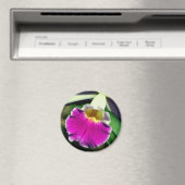 Aimant Photographie de fleur d'orchidée délicate  (In Situ (Lave-vaisselle))