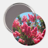 Aimant Photographie de fleurs de lagerstroemia rose (Recto/Verso)