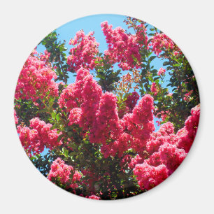 Aimant Photographie de fleurs de lagerstroemia rose