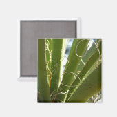 Aimant Photographie de la nature verte Feuille du Yucca (Recto/Verso)