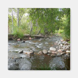 Aimant Photographie de nature de Oak Creek et canards col