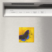 Aimant Photographie de papillon (In Situ (Lave-vaisselle))