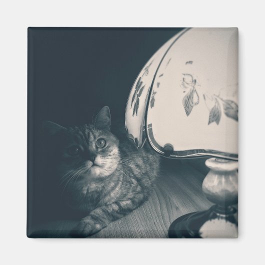 Aimant Photographie de style noir de chats et lampes (Devant)
