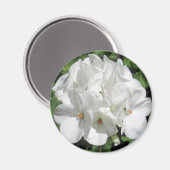 Aimant Photographie florale blanche (Recto/Verso)