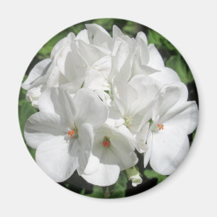 Aimant Photographie florale blanche