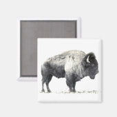 Aimant Photographie historique du bison américain (Recto/Verso)