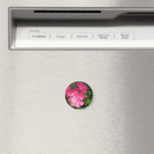 Aimant Photographie rose florale (In Situ (Lave-vaisselle))