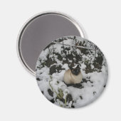 Aimant Photos De Neige, Chat De Neige (Recto/Verso)