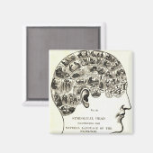 Aimant Phrenologie (Recto/Verso)