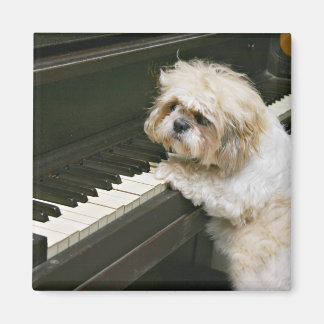 Aimant piano