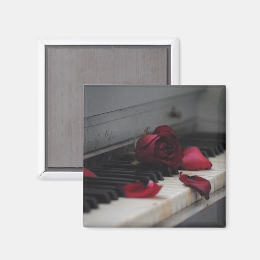 Aimant Piano Keys (Recto/Verso)