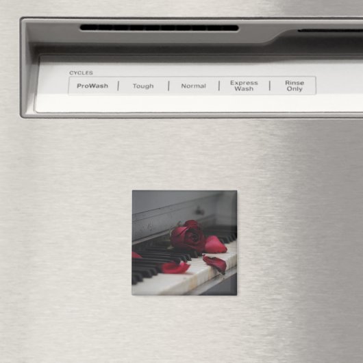 Aimant Piano Keys (In Situ (Lave-vaisselle))