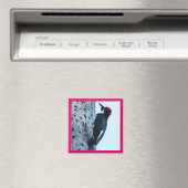 Aimant Pic (In Situ (Lave-vaisselle))