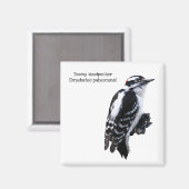 Aimant Pic Downy (Recto/Verso)