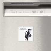 Aimant Pic Downy (In Situ (Lave-vaisselle))