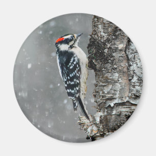 Aimant Pic Downy en neige - Photo originale