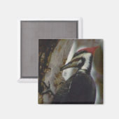 Aimant Pic pilé (Recto/Verso)