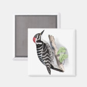 Aimant Pic pilé (Recto/Verso)