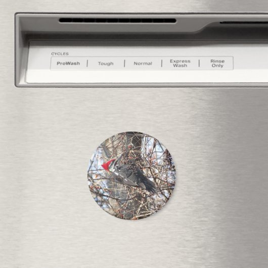 Aimant Pic Pilé (In Situ (Lave-vaisselle))