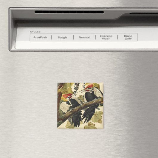 Aimant Pic pilé, John James Audubon (In Situ (Lave-vaisselle))