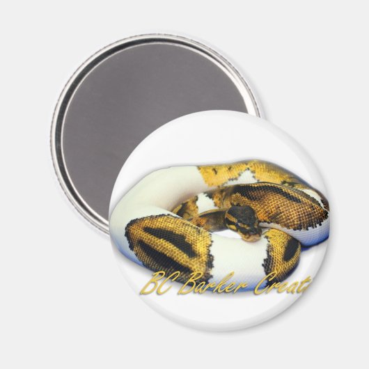 Aimant Piebald Ball Python (Recto/Verso)