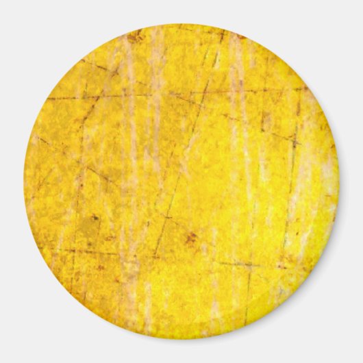 Aimant Pièce d'or 4 - Vérificateurs de gravité zéro (méta (Devant)