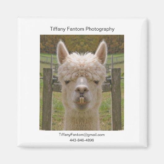 Aimant Pièce Promo Alpaca (Devant)