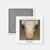 Aimant Pièce Promo de porc (Recto/Verso)