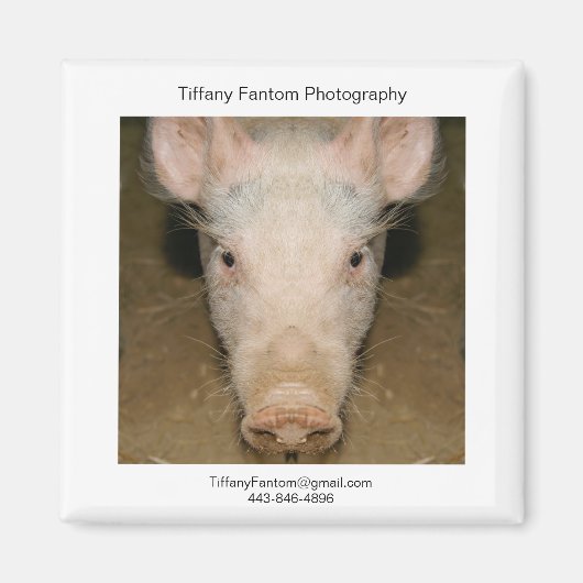 Aimant Pièce Promo de porc (Devant)