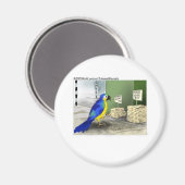 Aimant Pièces de salle de bain pour oiseaux Drôle Cadeaux (Recto/Verso)