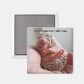 Aimant pieds bébé (Recto/Verso)