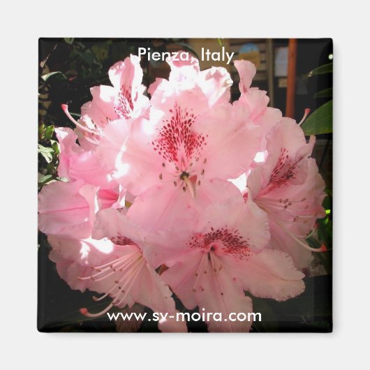 Aimant Pienza, Italie (Devant)