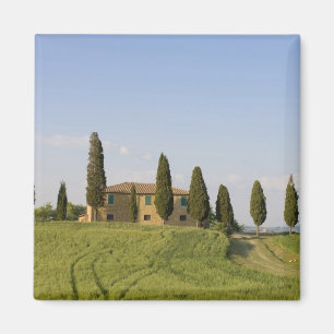 Aimant Pienza, Val d'Orcia, province de Sienne, Toscane,