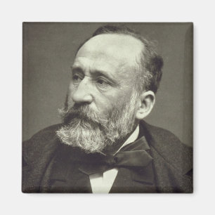 Aimant Pierre Cecile Puvis de Chavannes (1824-98), de '