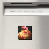 Aimant Pierres à pas (In Situ (Lave-vaisselle))