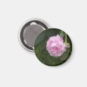 Aimant Pies roses (Recto/Verso)
