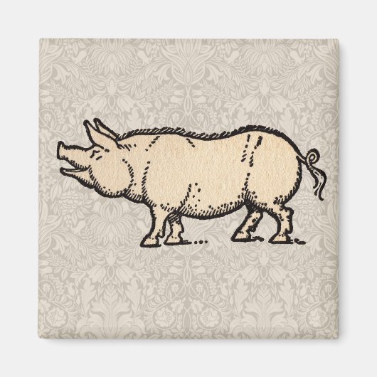 Aimant Pig Antique Piggy Cute Illustration Vintage (Devant)