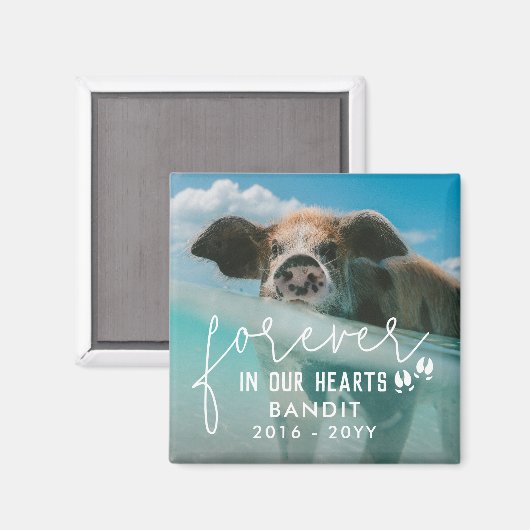 Aimant Pig Pieds Pour Toujours Dans Notre Coeur Pig Photo (Recto/Verso)