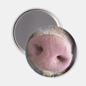 Aimant Pig rose gros plan photo (Recto/Verso)