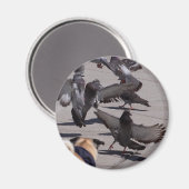 Aimant Pigeon (Recto/Verso)