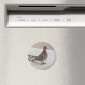 Aimant pigeon (In Situ (Lave-vaisselle))