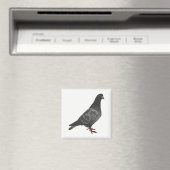 Aimant Pigeon (In Situ (Lave-vaisselle))