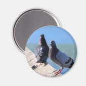 Aimant Pigeon (Recto/Verso)