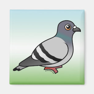 Aimant Pigeon de roche mignon