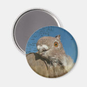 Aimant Pigeon Poetry (Recto/Verso)