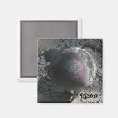 Aimant Pigeon Posant (Recto/Verso)